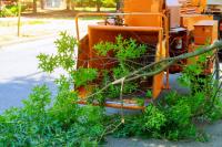 Tree Removal Service NYC image 2