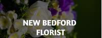 New Bedford Florist image 1