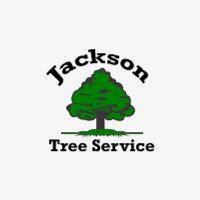 A1 Tree Service Jackson image 1