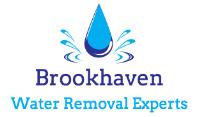 Brookhaven Water Removal Experts image 1