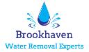 Brookhaven Water Removal Experts logo