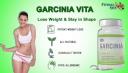 Garcinia Vita Reviews logo