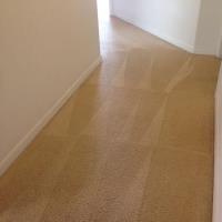 Manny's Carpet Cleaning Service image 2