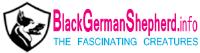 Black German Shepherd- The Fascinating Creatures image 1