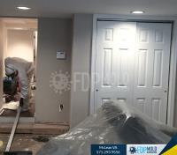 FDP Mold Remediation of McLean image 2