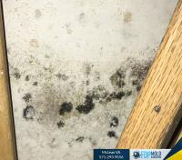 FDP Mold Remediation of McLean image 5