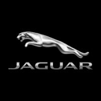Jaguar Buffalo image 1