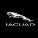 Jaguar Buffalo logo
