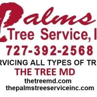 The Palms Tree Service, Inc. image 1
