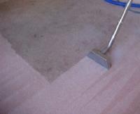 Carpet Cleaners Silver Spring image 1