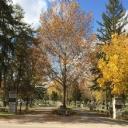 Evergreen Cemetery - Evergreen Monuments logo