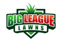 Big League Lawns image 1