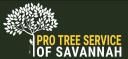 Pro Tree Service of Savannah logo