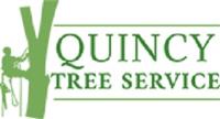 Quincy Tree Service image 3