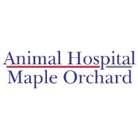 Animal Hospital Maple Orchard image 4