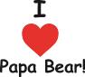 Papa Bear Carpet Care image 1