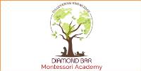 Diamond Bar Montessori Academy image 7