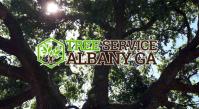 A to Z Tree Care image 1