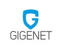 GigeNET logo