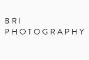 Bri Photography logo