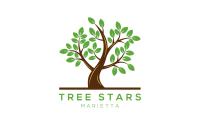 Tree Stars Marietta image 2
