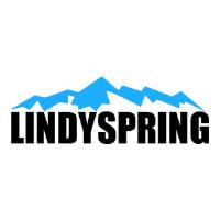 Lindyspring Systems image 1