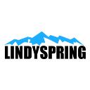 Lindyspring Systems logo