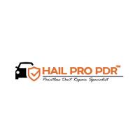 HAIL PRO PDR image 1