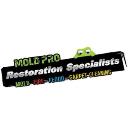 Mold Pro Water Damage Removal Queens logo