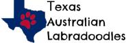 Texas Australian Labradoodles image 1
