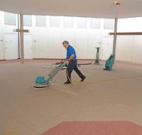 Tough Steam Green Carpet Cleaning image 2