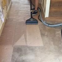 Tough Steam Green Carpet Cleaning Walnut image 2