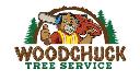 trimming home tree service logo
