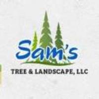 Sam's Tree & Landscape LLC image 1