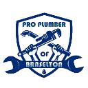 Pro Plumber of Braselton logo
