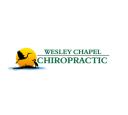 Wesley Chapel Chiropractic  logo