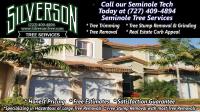 Silverson Tree Services image 6