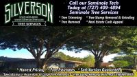 Silverson Tree Services image 8
