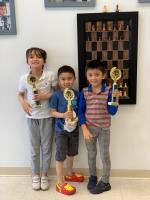 Chess Max Academy image 2