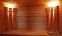 Steam Sauna Inc  image 1