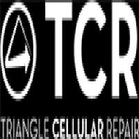 TCR: Triangle Cellular Repair image 1