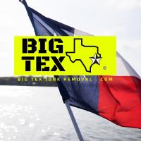 Big Tex Junk Removal image 4