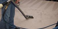 Magic Steam Green Carpet Cleaning Columbia image 4