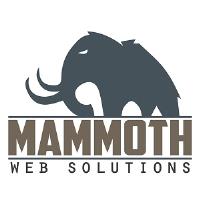 Mammoth Web Solutions image 2