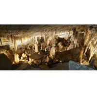 Glenwood Caverns Adventure Park image 3