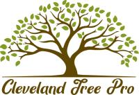 Cleveland TN Tree Pro image 1