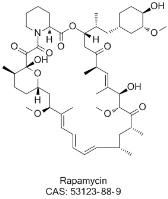 Rapamycin image 1