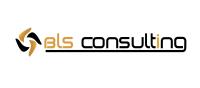 BLS Consulting Services image 1