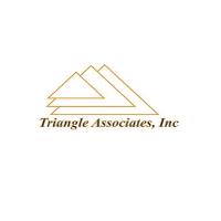 Triangle Associates Inc image 1