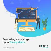 codingyoung image 5
